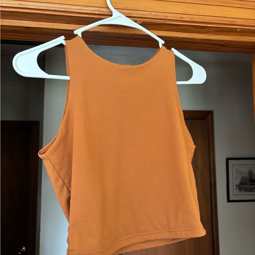 ReoRia Women's Tan Crop Top